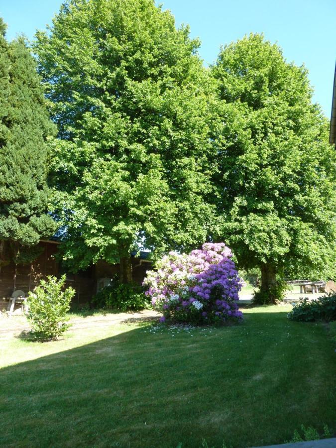 'Chez Lulu' - Gite Cocon Avec Bain Nordique Ardenne Nassogne Eksteriør bilde